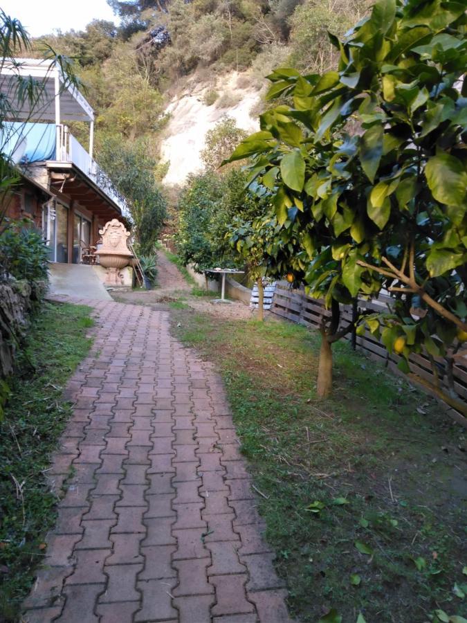 Oasis Villa Menton Ngoại thất bức ảnh